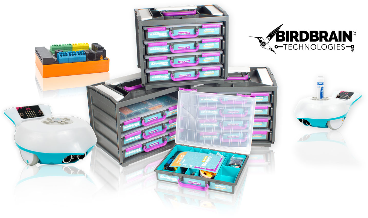 Birdbrain Technologies